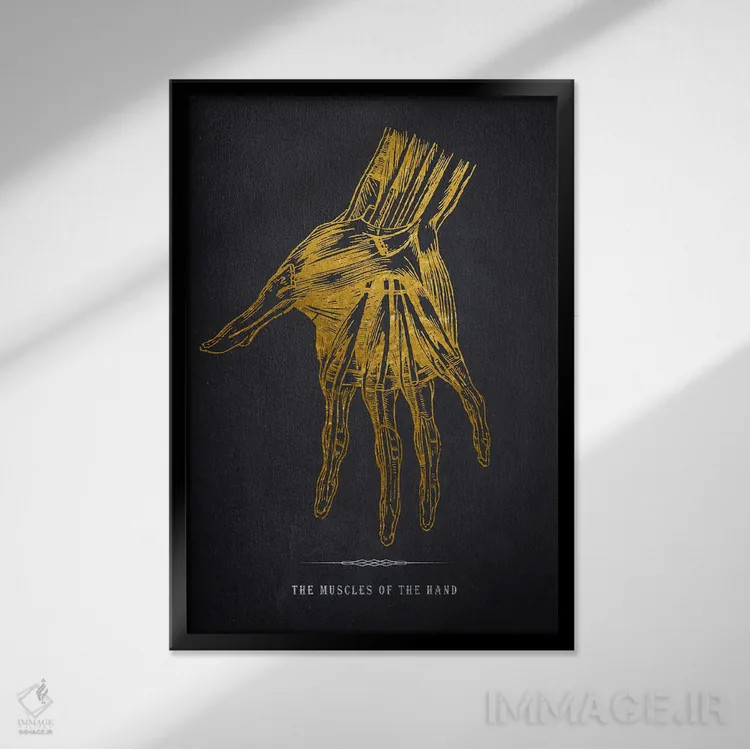 تابلو چاپ آناتومی دست اثر پیکسل کهنه (استودیو/نام هنری) - نمای قابدار مشکی