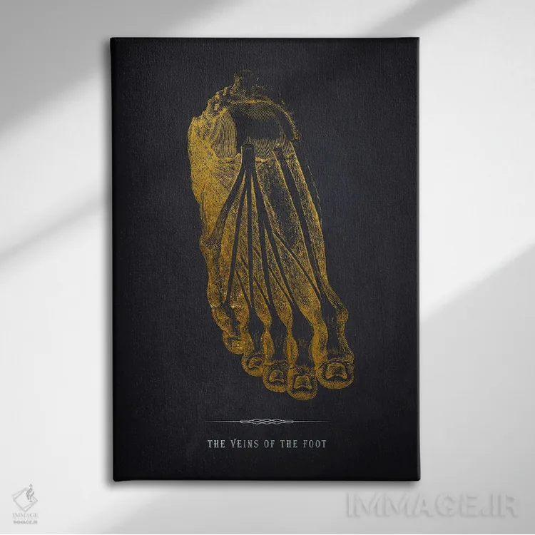 تابلو چاپ آناتومی رگهای پا اثر پیکسل کهنه (استودیو/نام هنری) - نمای روبهرو روی دیوار
