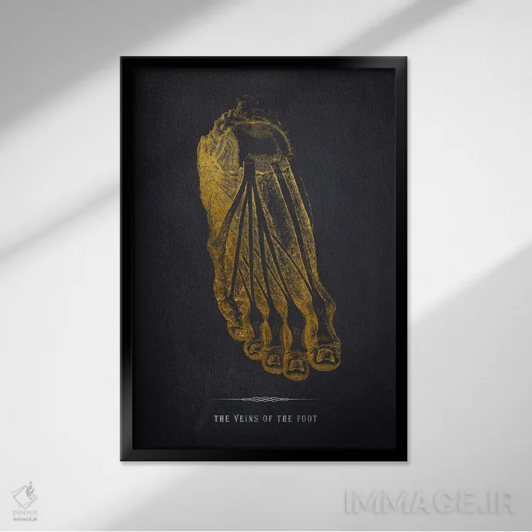 تابلو چاپ آناتومی رگهای پا اثر پیکسل کهنه (استودیو/نام هنری) - نمای قابدار مشکی