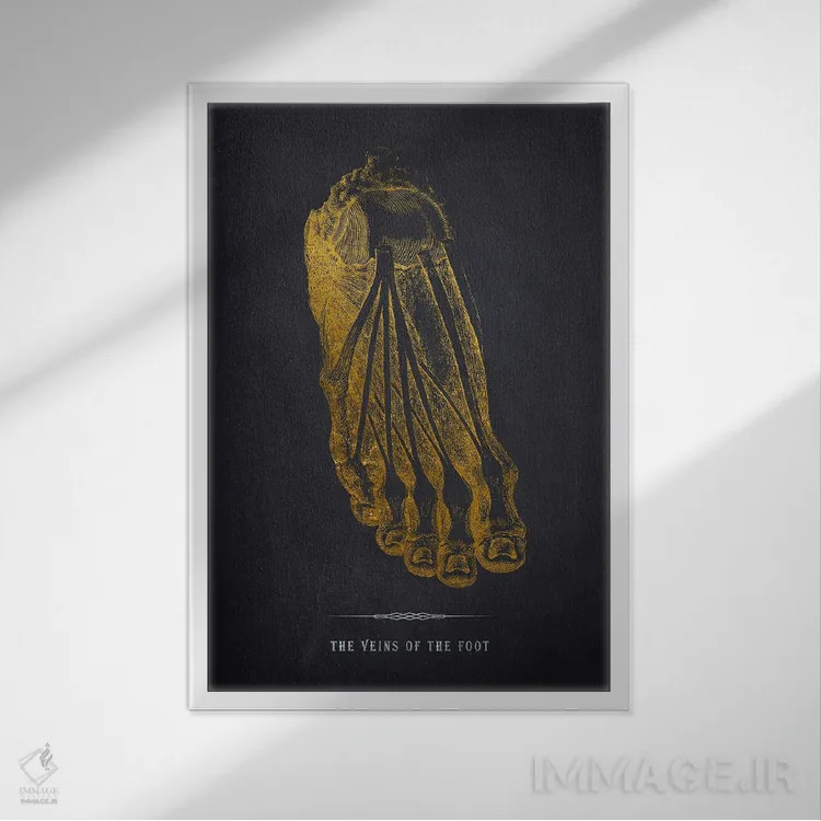 تابلو چاپ آناتومی رگهای پا اثر پیکسل کهنه (استودیو/نام هنری) - نمای قابدار سفید