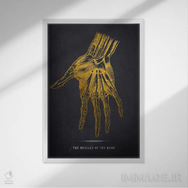 تابلو چاپ آناتومی دست اثر پیکسل کهنه (استودیو/نام هنری) - نمای قابدار سفید