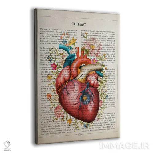 تابلو ساختار قلب بهصورت گل (آناتومی قلب به سبک گلآرایی) اثر پیکسل کهنه (استودیو/نام هنری) - نمای پرسپکتیو محصول