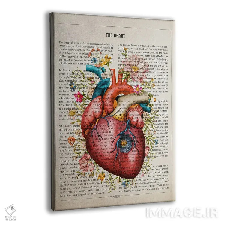 تابلو ساختار قلب بهصورت گل (آناتومی قلب به سبک گلآرایی) اثر پیکسل کهنه (استودیو/نام هنری) - نمای پرسپکتیو محصول