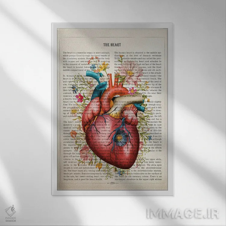 تابلو ساختار قلب بهصورت گل (آناتومی قلب به سبک گلآرایی) اثر پیکسل کهنه (استودیو/نام هنری) - نمای قابدار سفید