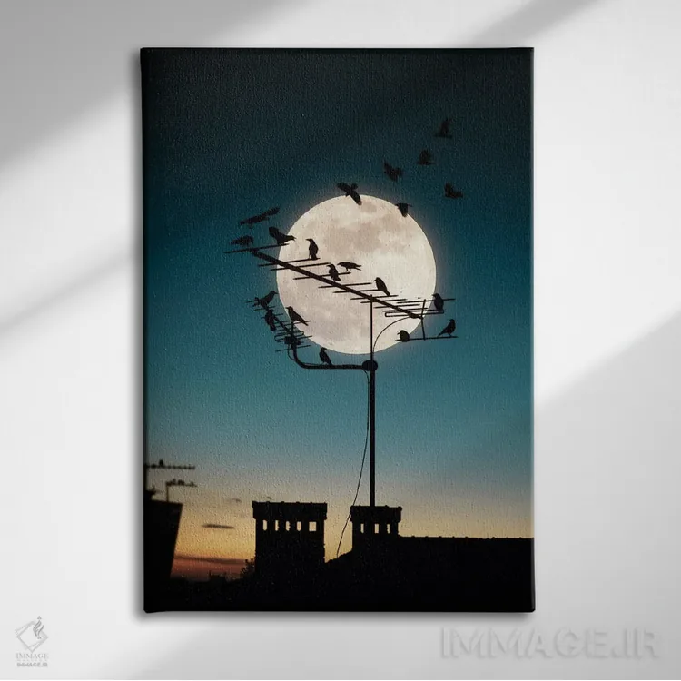 تابلو ماه و پرندگان اثر عبدالله ایویندار - نمای روبهرو روی دیوار