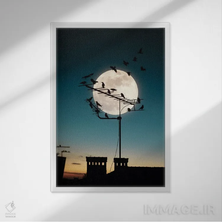 تابلو ماه و پرندگان اثر عبدالله ایویندار - نمای قابدار سفید