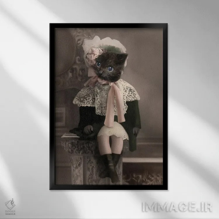 تابلو میسی اثر انیمال فَنسی - نمای قابدار مشکی