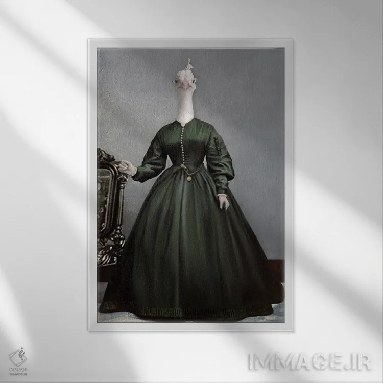 تابلو خانم پیکاک اثر انیمال فَنسی - نمای قابدار سفید
