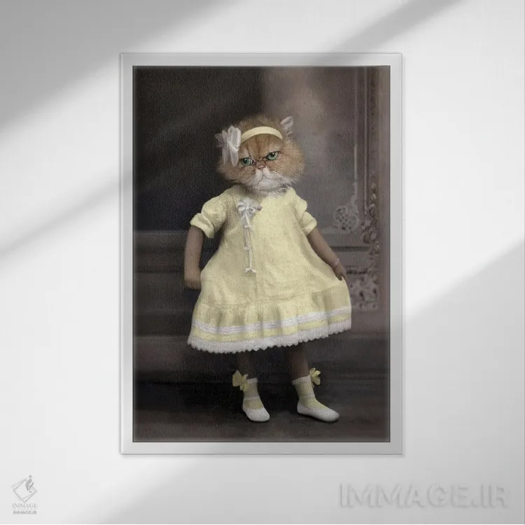 تابلو سانی (آفتابی) اثر انیمال فَنسی - نمای قابدار سفید