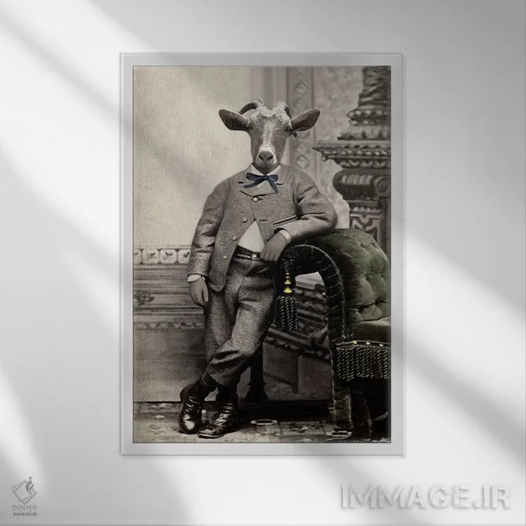 تابلو ونسان اثر انیمال فَنسی - نمای قابدار سفید