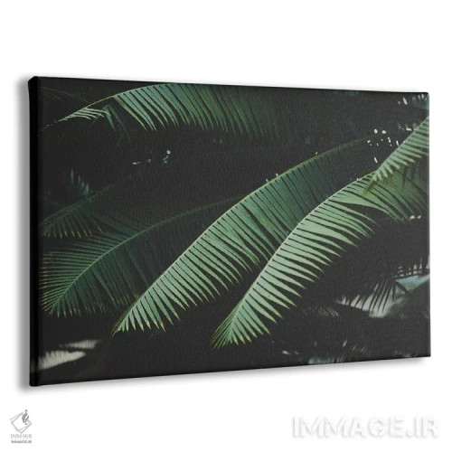 تابلو شب در مناطق گرمسیری اثر آن هادک - نمای پرسپکتیو محصول