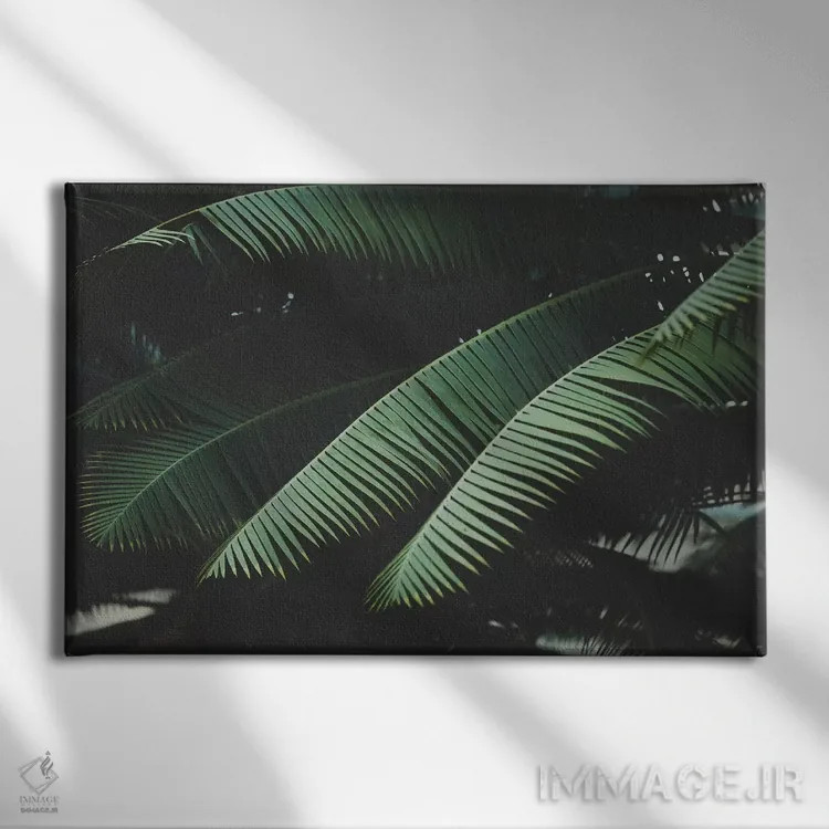 تابلو شب در مناطق گرمسیری اثر آن هادک - نمای روبهرو روی دیوار