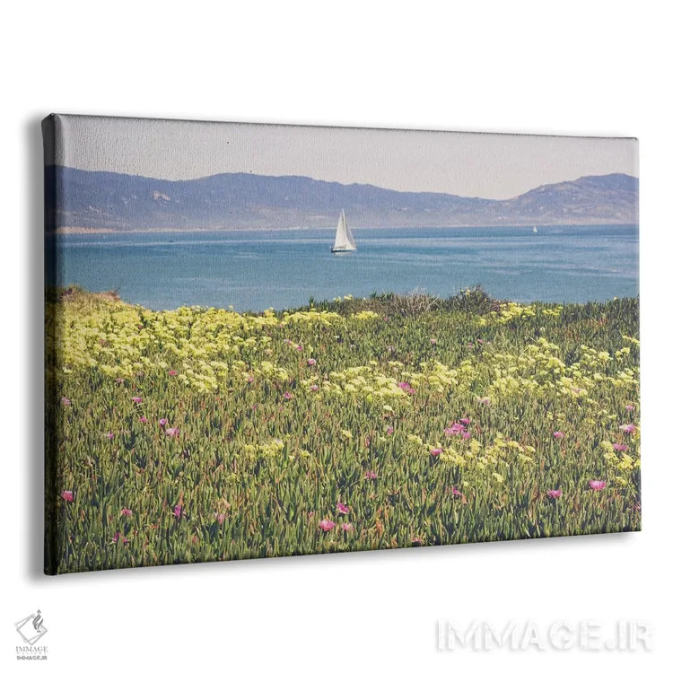 تابلو صبح در سانتا باربارا ۲ اثر آن هادک - نمای پرسپکتیو محصول