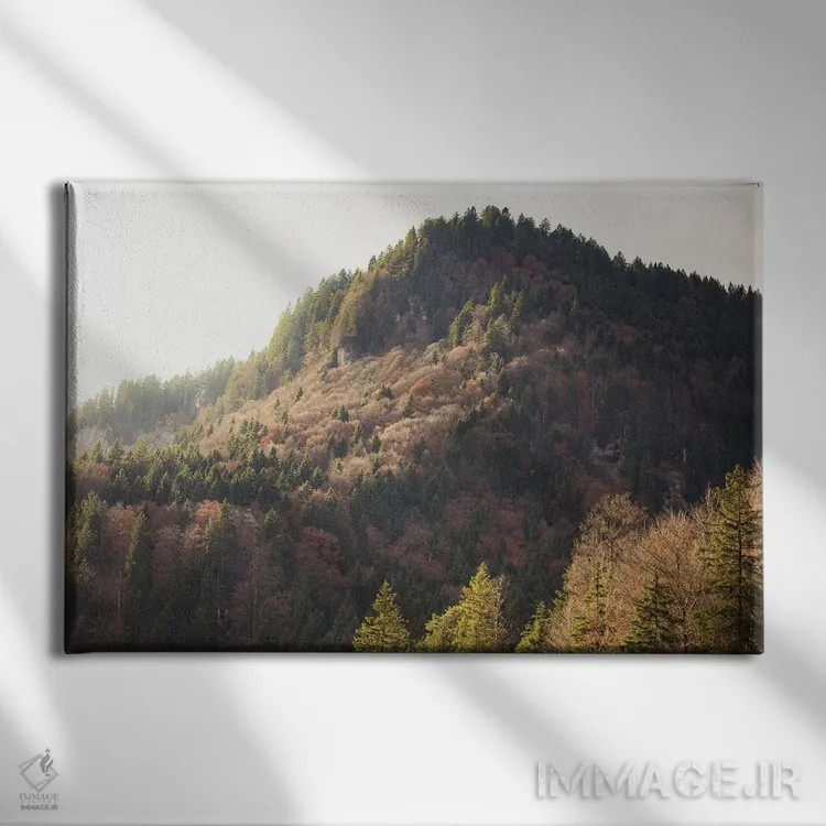 تابلو نور کوهستان اثر آن هادک - نمای روبهرو روی دیوار