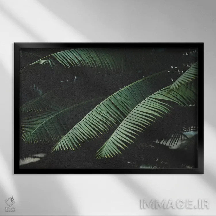 تابلو شب در مناطق گرمسیری اثر آن هادک - نمای قابدار مشکی