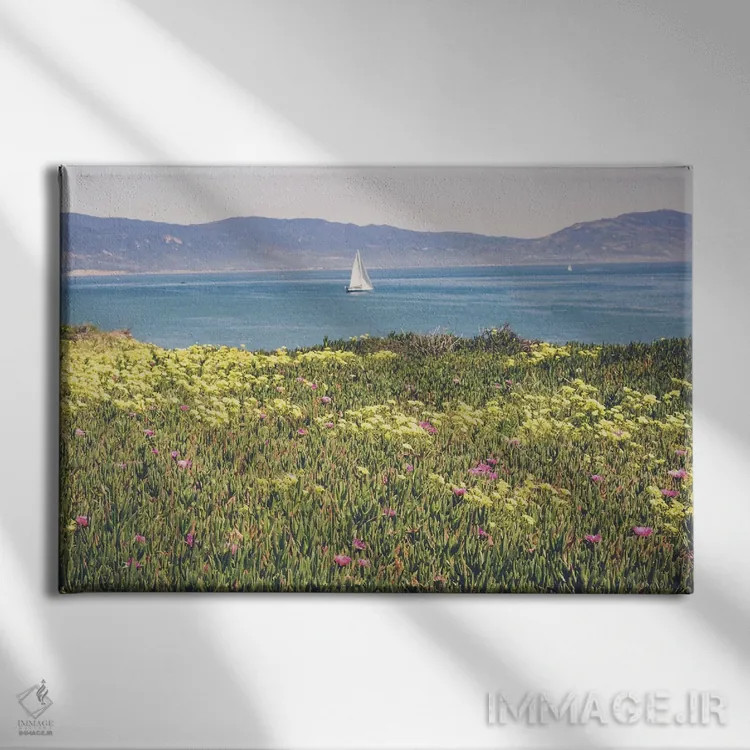 تابلو صبح در سانتا باربارا ۲ اثر آن هادک - نمای روبهرو روی دیوار