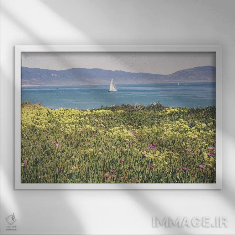 تابلو صبح در سانتا باربارا ۲ اثر آن هادک - نمای قابدار سفید