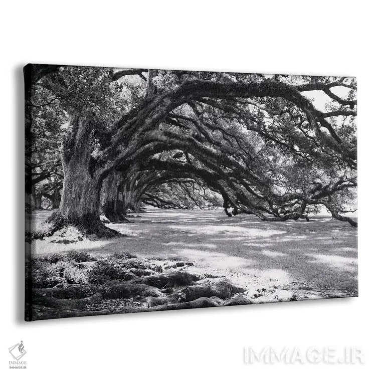 تابلو کوچه بلوطها اثر آن هادک - نمای پرسپکتیو محصول