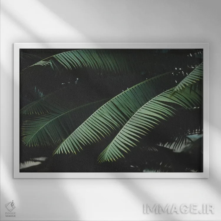 تابلو شب در مناطق گرمسیری اثر آن هادک - نمای قابدار سفید