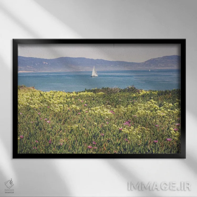 تابلو صبح در سانتا باربارا ۲ اثر آن هادک - نمای قابدار مشکی