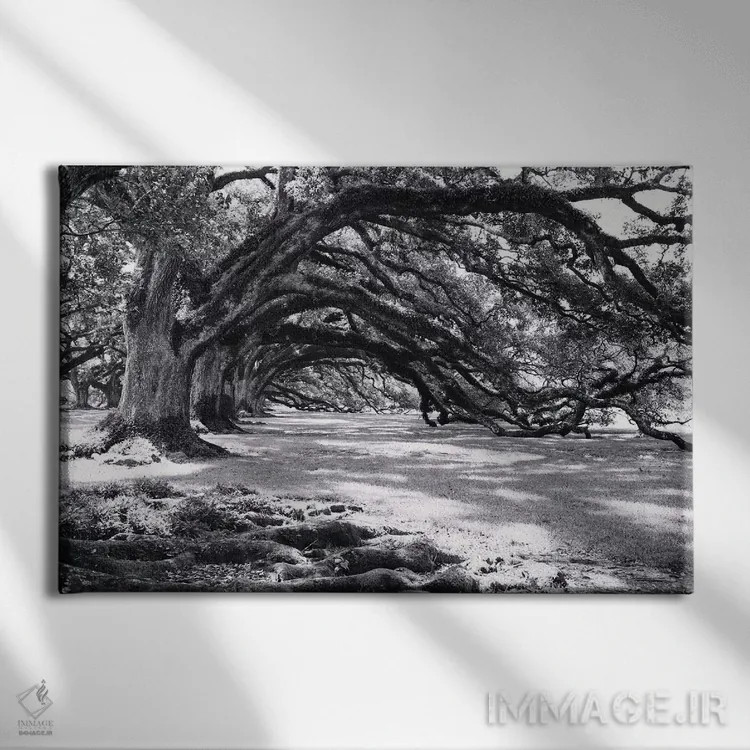 تابلو کوچه بلوطها اثر آن هادک - نمای روبهرو روی دیوار