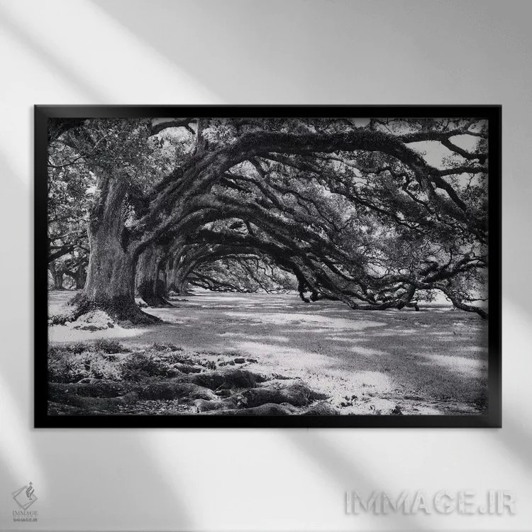 تابلو کوچه بلوطها اثر آن هادک - نمای قابدار مشکی