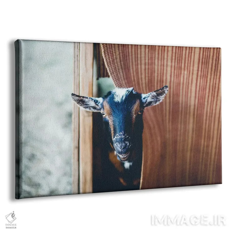 تابلو دالی موشه (بازی کودکانه) اثر آن هادک - نمای پرسپکتیو محصول