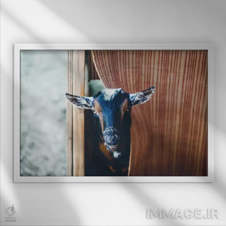 تابلو دالی موشه (بازی کودکانه) اثر آن هادک - نمای قابدار سفید