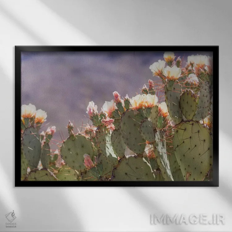 تابلو شکوفههای کاکتوس انجیر مکزیکی (انجیر تیغدار) اثر آن هادک - نمای قابدار مشکی