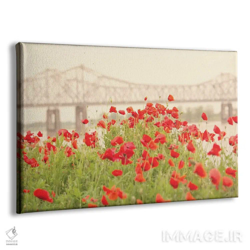 تابلو شقایقهای سرخ اثر آن هادک - نمای پرسپکتیو محصول