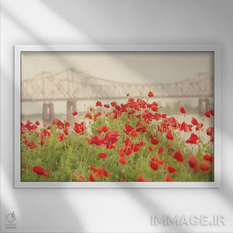 تابلو شقایقهای سرخ اثر آن هادک - نمای قابدار سفید