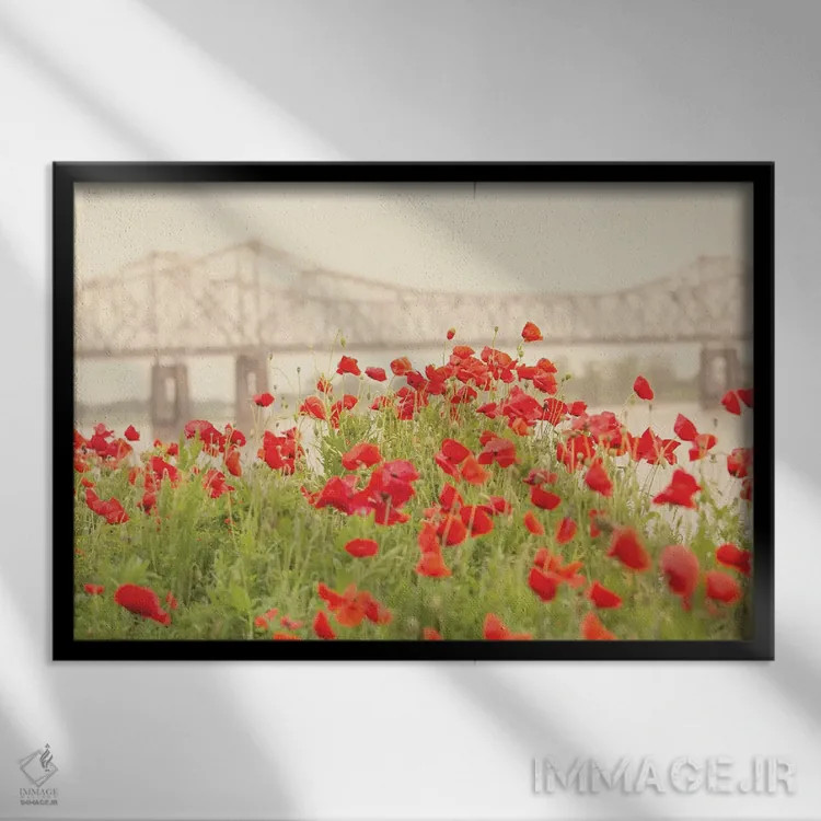 تابلو شقایقهای سرخ اثر آن هادک - نمای قابدار مشکی