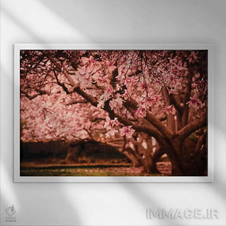 تابلو بهار (فرانسوی) اثر آن هادک - نمای قابدار سفید