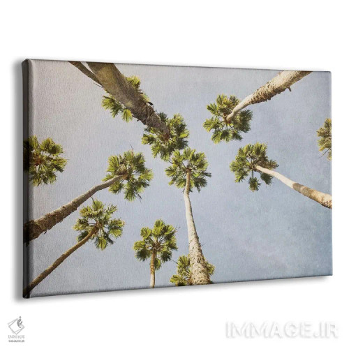 تابلو تابستان در لسآنجلس ۱ اثر آن هادک - نمای پرسپکتیو محصول