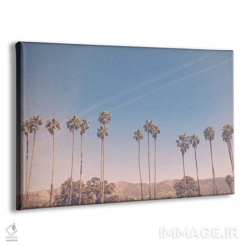 تابلو تابستان در لسآنجلس ۲ اثر آن هادک - نمای پرسپکتیو محصول