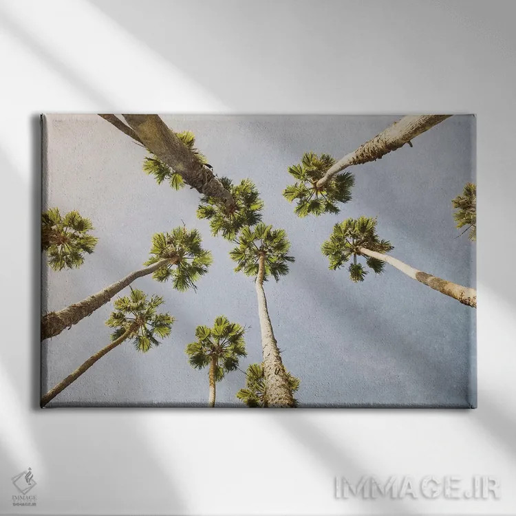 تابلو تابستان در لسآنجلس ۱ اثر آن هادک - نمای روبهرو روی دیوار