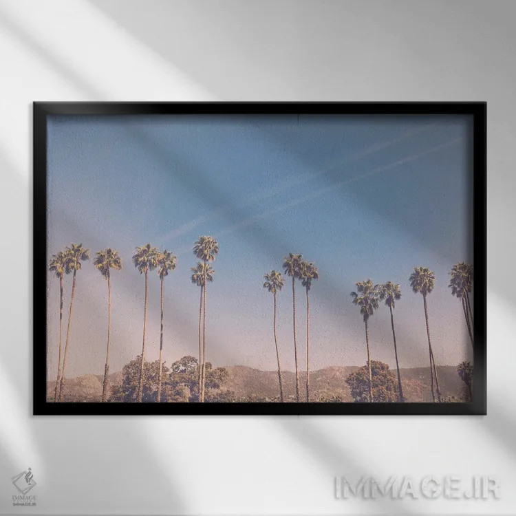 تابلو تابستان در لسآنجلس ۲ اثر آن هادک - نمای قابدار مشکی