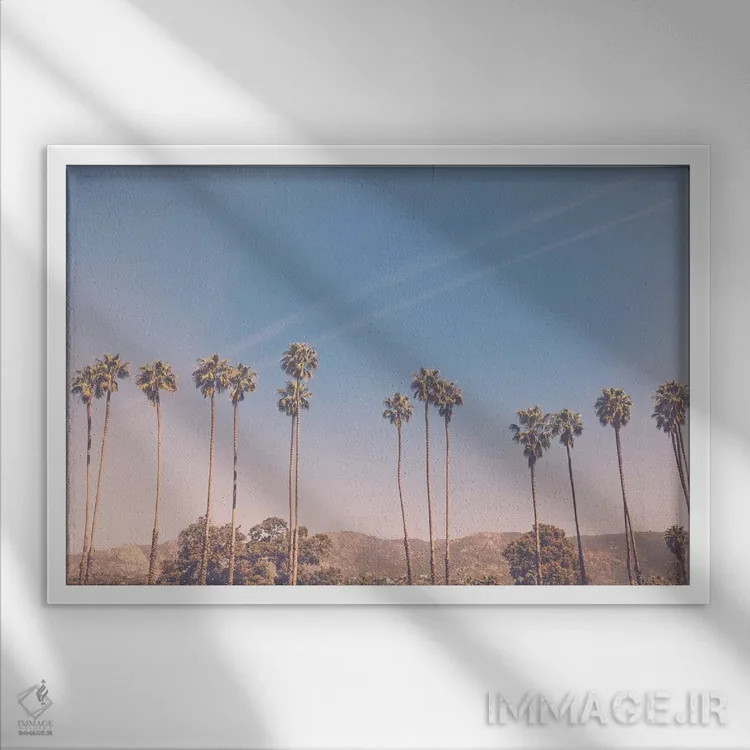 تابلو تابستان در لسآنجلس ۲ اثر آن هادک - نمای قابدار سفید