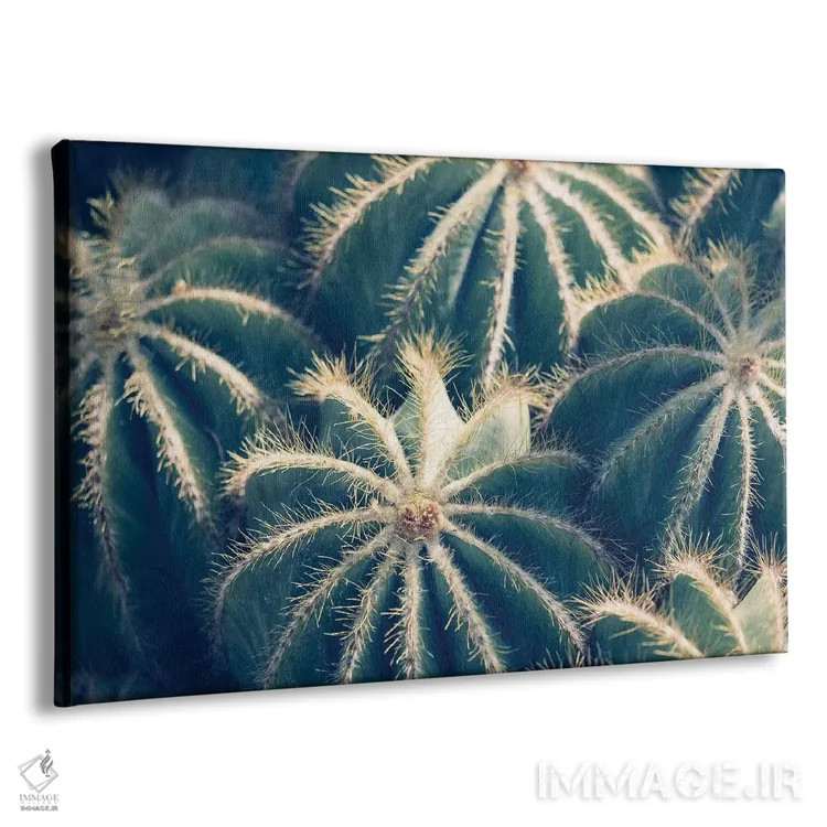 تابلو باغ کاکتوس ۲ اثر آن هادک - نمای پرسپکتیو محصول