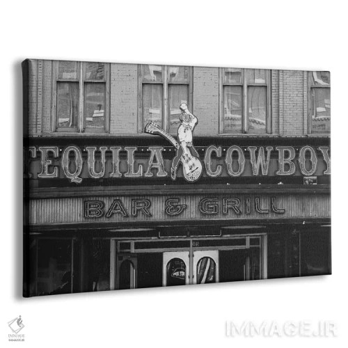 تابلو تکیلا گاوچران اثر آن هادک - نمای پرسپکتیو محصول