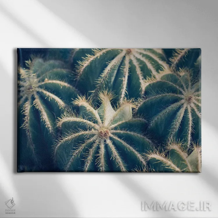 تابلو باغ کاکتوس ۲ اثر آن هادک - نمای روبهرو روی دیوار