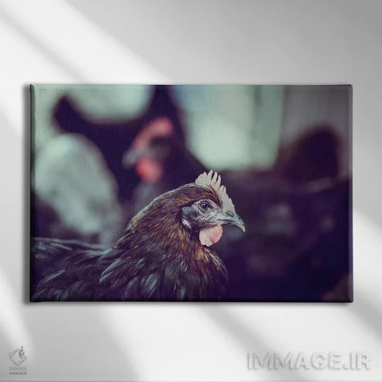 تابلو گله/نسل (یا: نوزادان/فرزندان) اثر آن هادک - نمای روبهرو روی دیوار