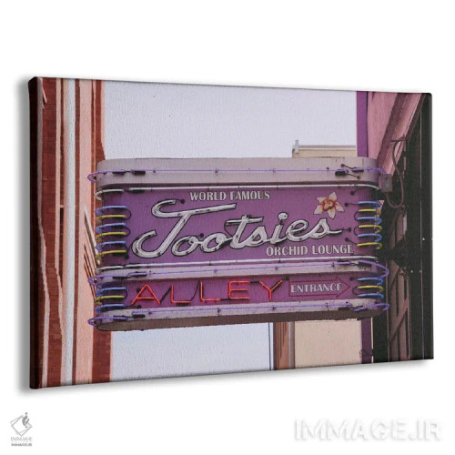 تابلو توتسی نشویل (بار/کافه معروف) اثر آن هادک - نمای پرسپکتیو محصول
