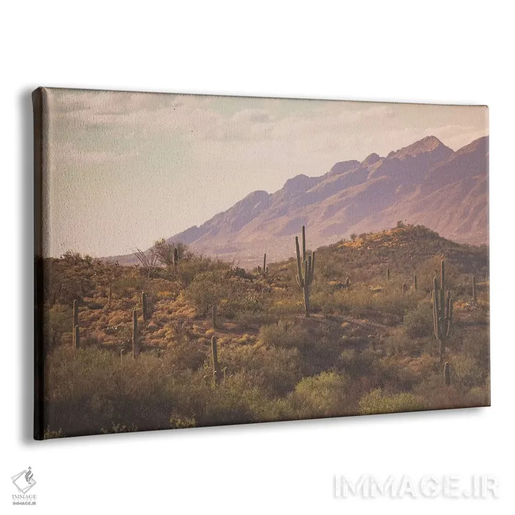 تابلو طلوع توسان (نام شهر در آریزونا) اثر آن هادک - نمای پرسپکتیو محصول