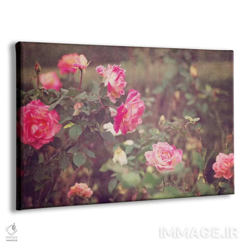 تابلو رزهای کلاسیک اثر آن هادک - نمای پرسپکتیو محصول