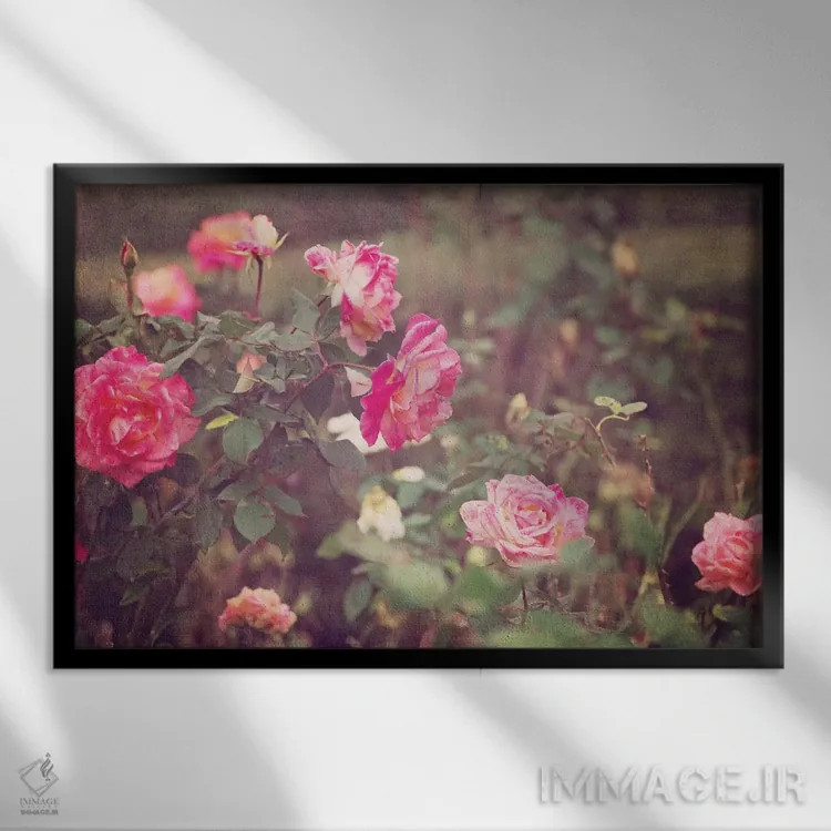 تابلو رزهای کلاسیک اثر آن هادک - نمای قابدار مشکی