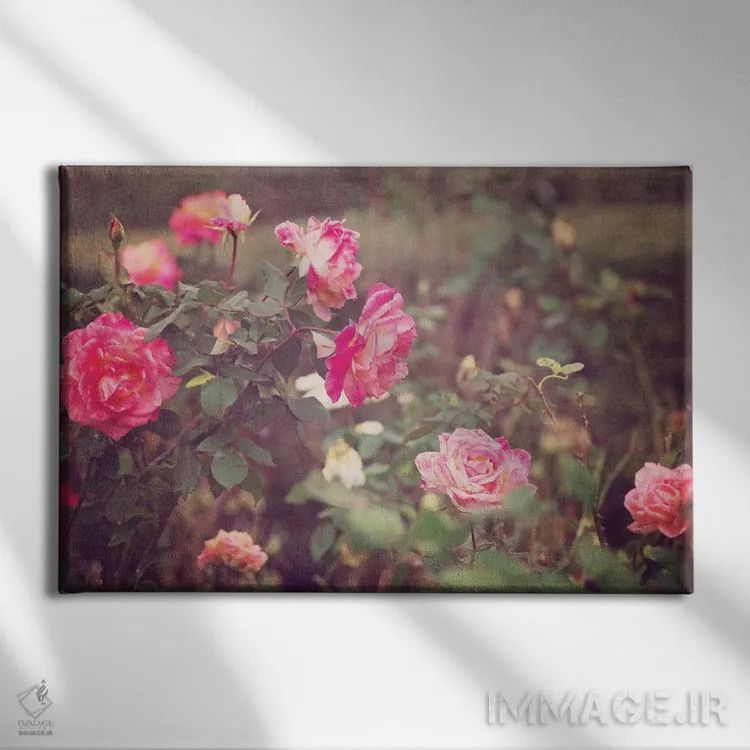 تابلو رزهای کلاسیک اثر آن هادک - نمای روبهرو روی دیوار