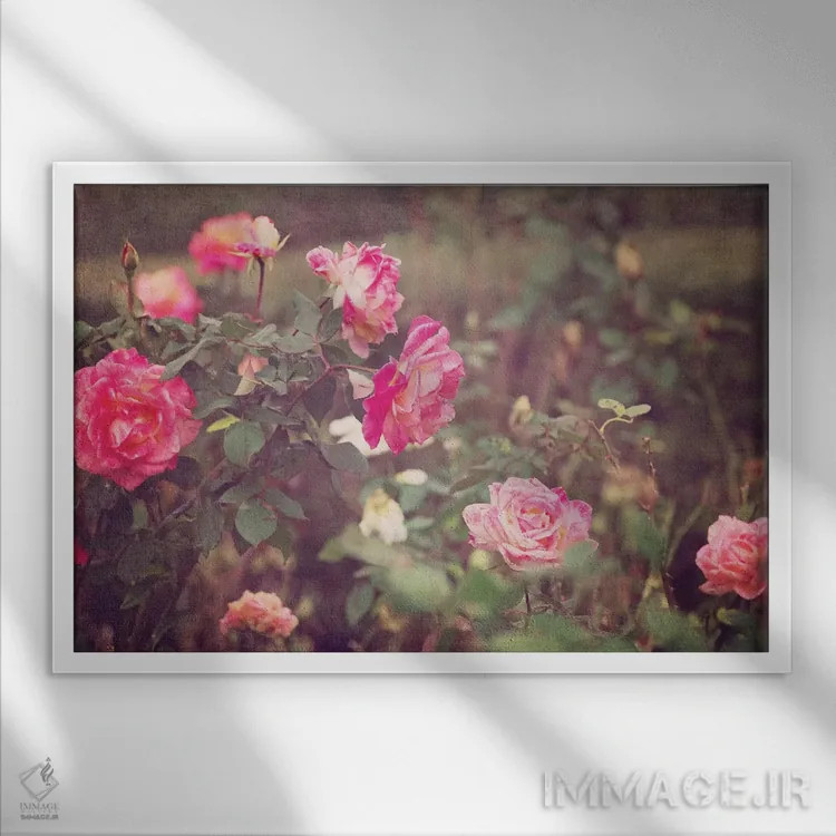 تابلو رزهای کلاسیک اثر آن هادک - نمای قابدار سفید