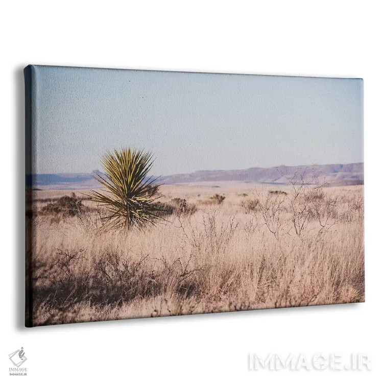 تابلو غرب وحشی (دوران و فضای وسترن آمریکا) اثر آن هادک - نمای پرسپکتیو محصول