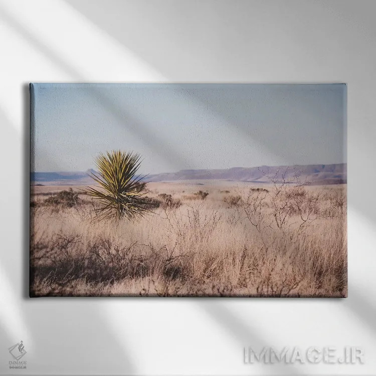 تابلو غرب وحشی (دوران و فضای وسترن آمریکا) اثر آن هادک - نمای روبهرو روی دیوار